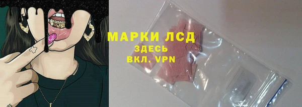 Альфа ПВП Верея