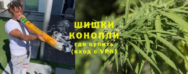 Альфа ПВП Верея