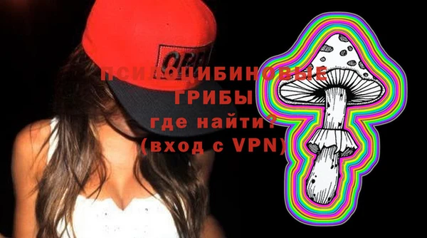 Альфа ПВП Верея