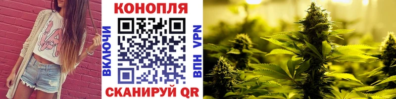 где продают Оренбург Конопля тримм